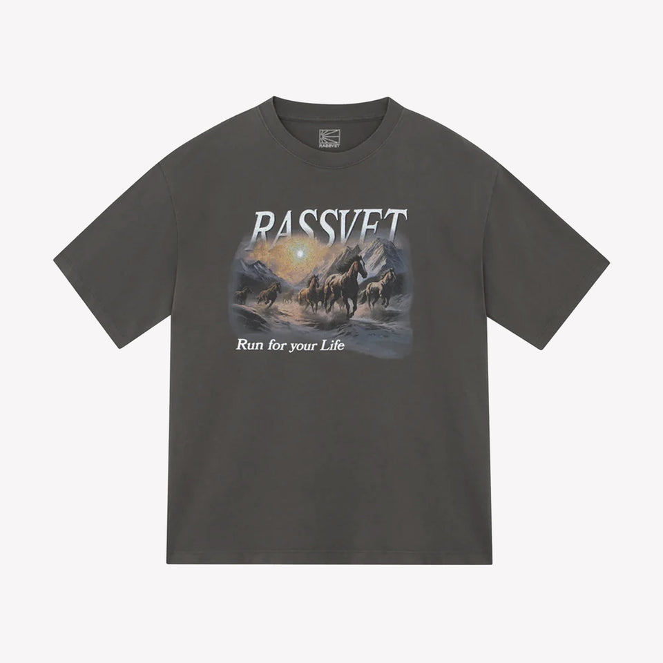 Horses Tee Shirt Knit