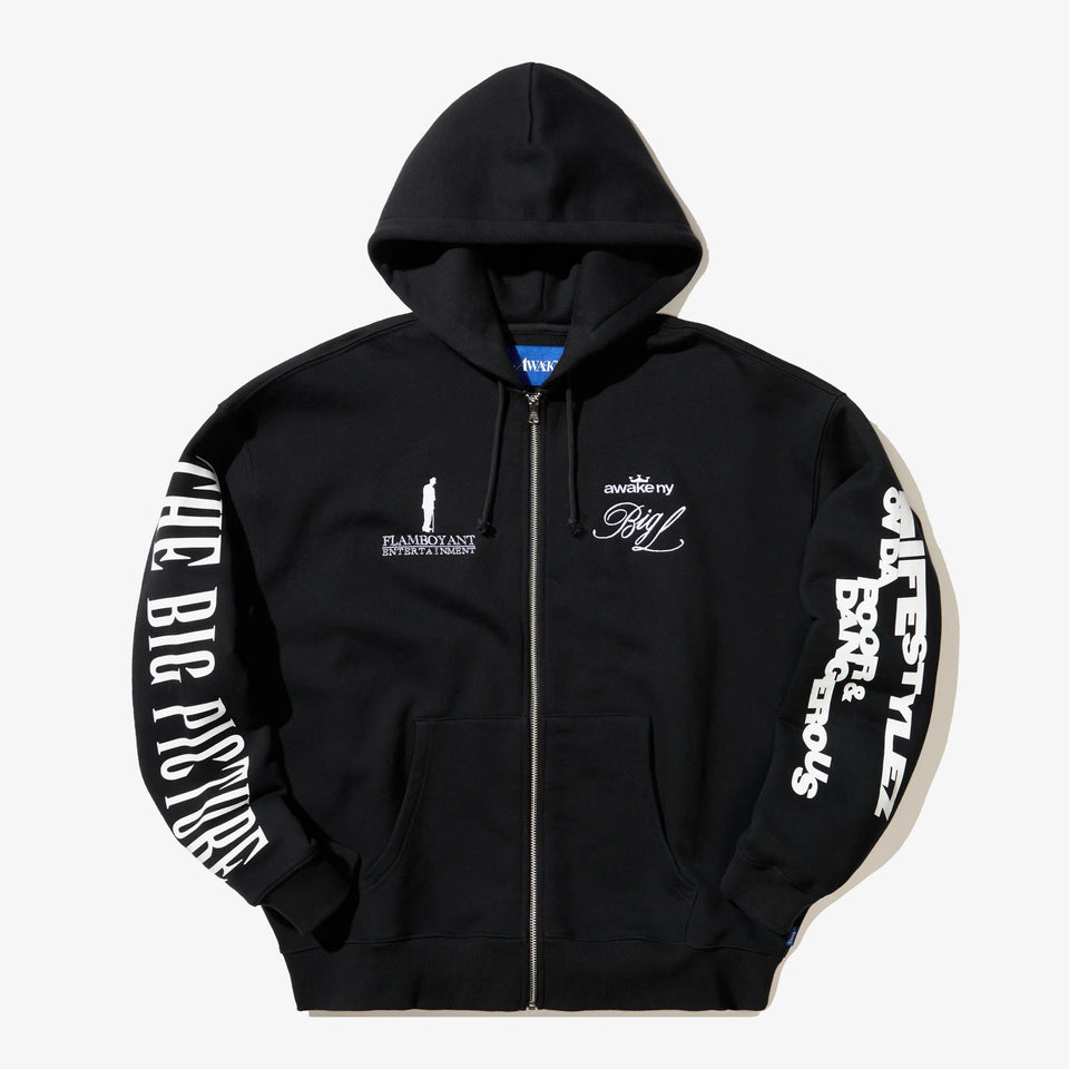 The Big Picture Zip Hoodie